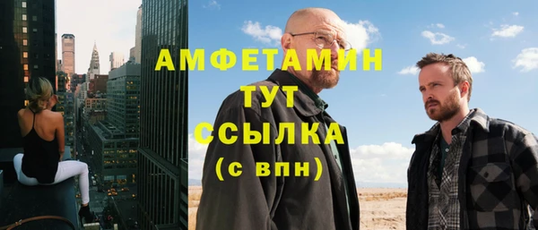 гидра Богородицк