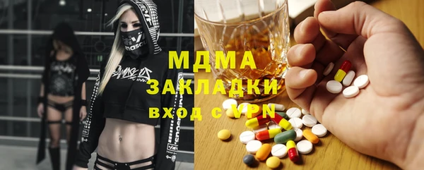 гидра Богородицк