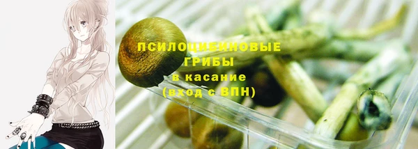 гидра Покров
