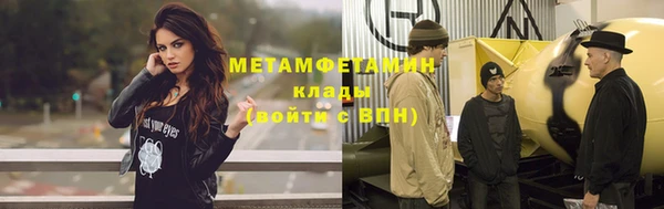 прущие грибы Беломорск