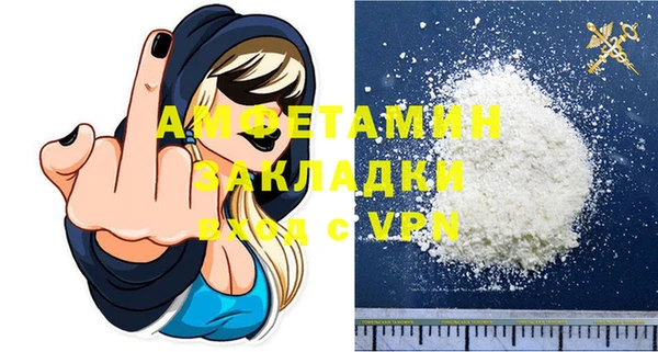 гидра Богородицк