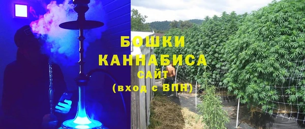 гидра Богородицк