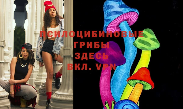 ешки Богданович