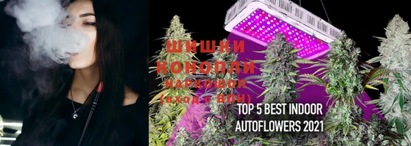 PSILOCYBIN Бронницы
