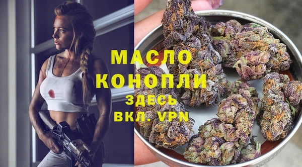 гидра Богородицк
