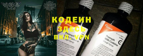 гидра Богородицк
