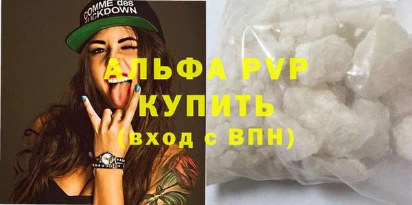 гидра Богородицк
